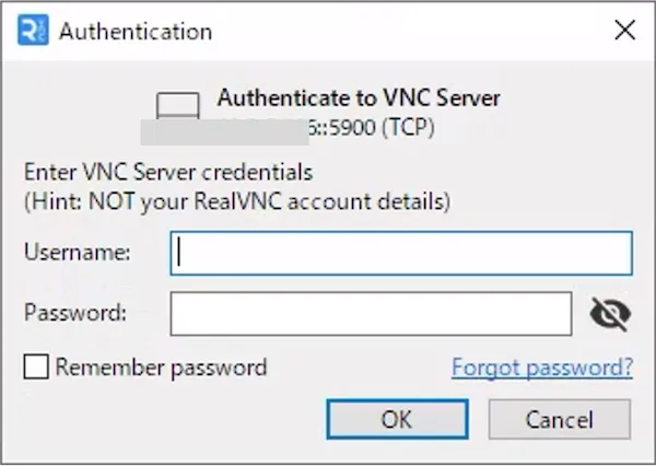 usingVNC3